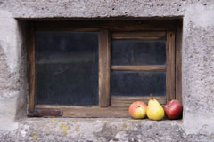 Apfel und Birne im Fenster einer Scheune